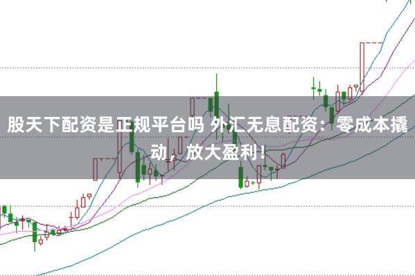 股天下配资是正规平台吗 外汇无息配资：零成本撬动，放大盈利！