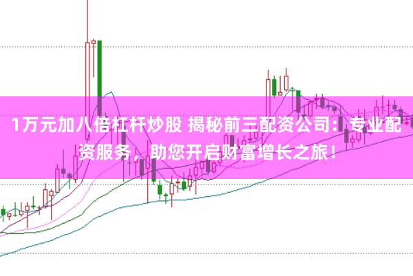 1万元加八倍杠杆炒股 揭秘前三配资公司：专业配资服务，助您开启财富增长之旅！
