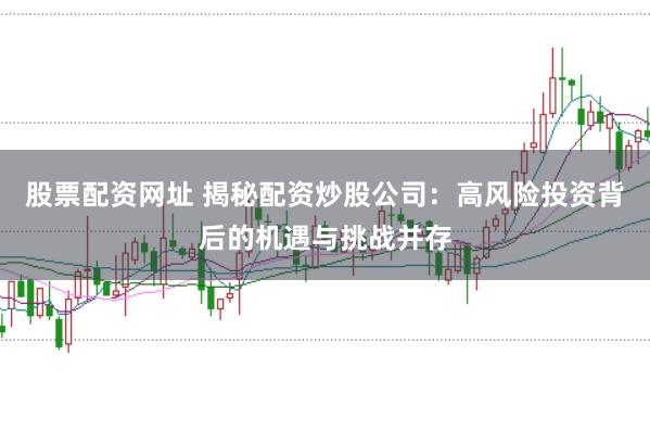 股票配资网址 揭秘配资炒股公司：高风险投资背后的机遇与挑战并存