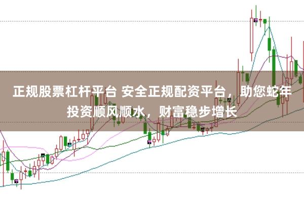 正规股票杠杆平台 安全正规配资平台，助您蛇年投资顺风顺水，财富稳步增长