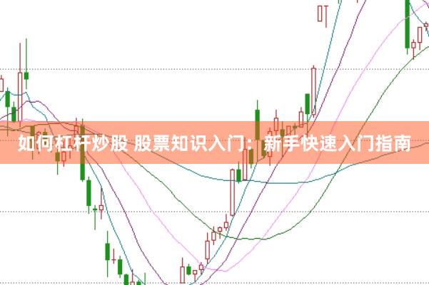 如何杠杆炒股 股票知识入门：新手快速入门指南