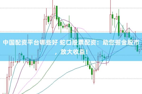 中国配资平台哪些好 蛇口股票配资：助您掘金股市，放大收益！