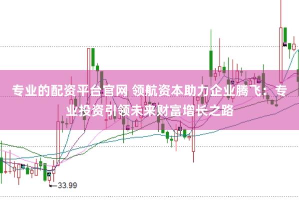 专业的配资平台官网 领航资本助力企业腾飞：专业投资引领未来财富增长之路