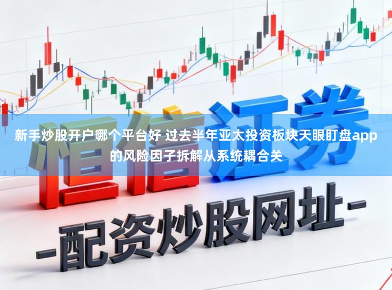 新手炒股开户哪个平台好 过去半年亚太投资板块天眼盯盘app的风险因子拆解从系统耦合关