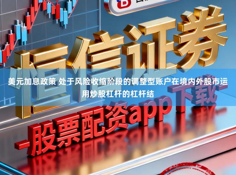 美元加息政策 处于风险收缩阶段的调整型账户在境内外股市运用炒股杠杆的杠杆结