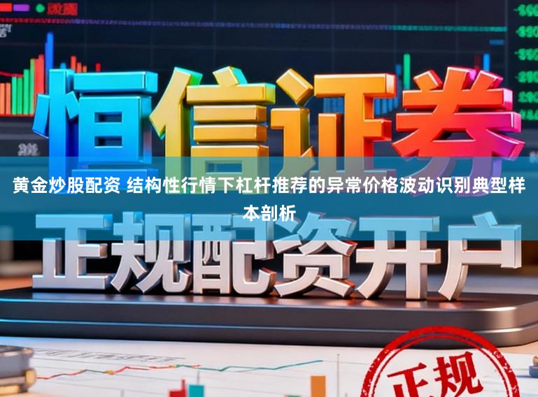 黄金炒股配资 结构性行情下杠杆推荐的异常价格波动识别典型样本剖析